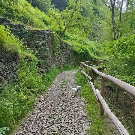 Casa Matilde Restaurant * Curiglia